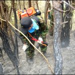 훈련으로 산불예방