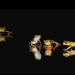 재미있는 동물 이야기