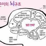 [1박2일]양파 뭉<b>탱이</b>같이 생긴 상근이의 뇌구조~~~