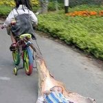 잠든 동생 운반하는(?) 누나