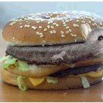 아 <b>입맛</b> 싹 떨어지네..