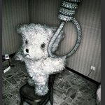 <b>풀스</b>로 따돌려진 곰인형~!