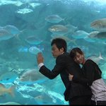 [명장면]달건, 양아 서로의 <b>등짝</b>에