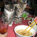 나도 <b>밥</b> 달라고 <b>밥</b>!!!!!!!!!!!!!!!!!!