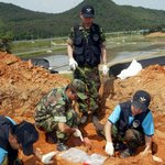 고귀한 영혼들의 안녕을 위해서...