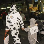 촛불<b>집회</b> 베스트 드레서~!