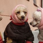 우리 이러다가 굶어죽겠어ㅠ_ㅠ