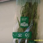 <b>오이</b>가 되고 싶었어...