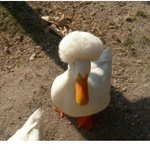 너무 <b>발랄</b>해주신 헤어스타일~