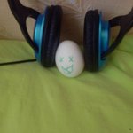 <b>달걀</b> 가족의 하루