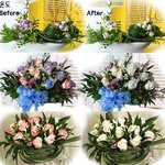 온도와 빛에 따라 <b>색이</b> 변하는 마술장미?!!