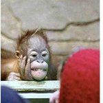 <b>동물</b> 구경하기~