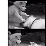 <b>아악</b> 내눈!!!!