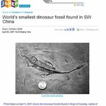 초미니 공룡<b>화석</b>