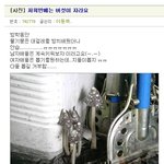 저희 반에는 <b>버섯</b>이 자라요