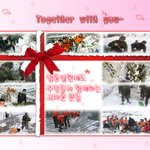 민관군의 <b>대민</b>지원중 이들이 가장 도움되죠 그래도~