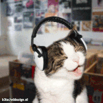 회사원 야옹이 변천과정