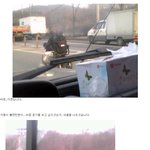 아름다운 대한<b>민국</b>......