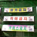 공사장에서 <b>서커스</b>도 해요?