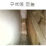 <b>구석</b>에 낀 놈