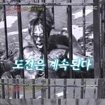 [<b>펌</b>] 유재석, 왜 몸으로 때우는가