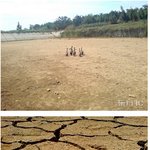 무더위의 <b>재앙</b> vs 무더위를 즐기는 사람들