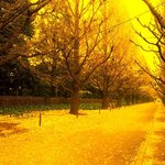 참 좋은 날씨입니다.