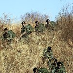 지존들을 모아봤어요...흠좀무