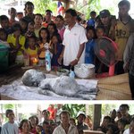 태국에서.. 이게 소가 낳은 <b>생물</b>이라고?외계인이잖아