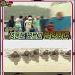 무한도전 <b>실미</b>도 특집 예고 시청자 기대 만발
