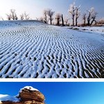 더운 <b>사막</b>에 눈이 내린다?