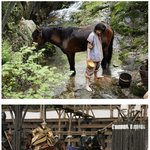 태왕사신기의 <b>화려</b>한 스틸컷