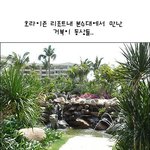 <b>닌자</b>거북이 이후 &amp;#52573;오! 호라이즌 거북이