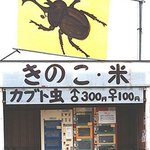 별거다파는 일본<b>자판기</b>