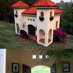 어이없다..개집이 무슨 2천만원이나 해..?