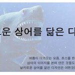 <b>상어</b>를 모티브로 해 만든 것들, 이렇게 많아?