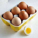 맛있는 달걀 삶기 완전 정복