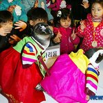 한복입은 펭귄