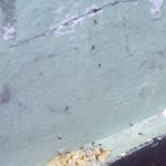 <b>개미</b>한테 봉사하고 인증 샷!