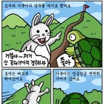토끼와 거북이 이야기의 <b>진실</b>