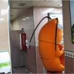 <b>새우</b>가 대소변 보는 사진