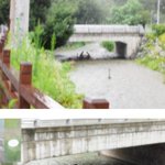 고수들의 <b>더위</b> 피하는 방법