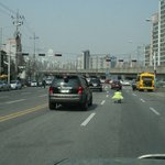 도로위 <b>질주</b>본능!!