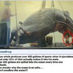 <b>바닷물</b>이 왜 짤까! 궁금하셨죠?