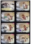 [오프 더 레코드]이효리도 <b>애묘인</b>이구나~