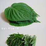 <b>참치</b>깻잎주먹밥