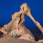 자연이 만든 멋진 <b>바위</b>