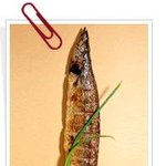 생선을 <b>최상</b>의 맛으로 굽는 방법