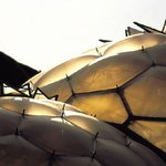 현대판 에덴동산~?