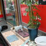 <b>주인</b>님... <b>전</b> 행복해요...